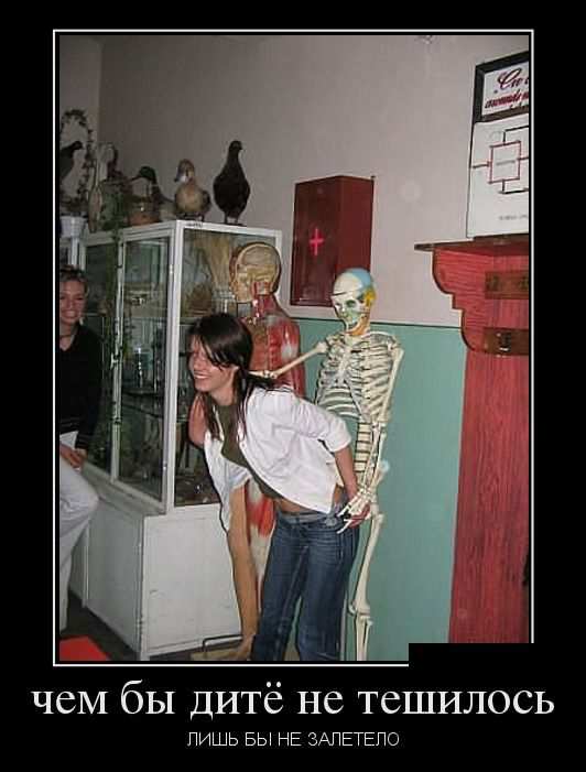 Зачетные, классные и прикольные демотиваторы из сети