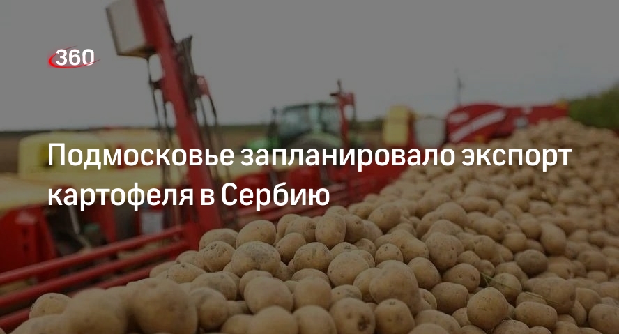 Подмосковье запланировало экспорт картофеля в Сербию