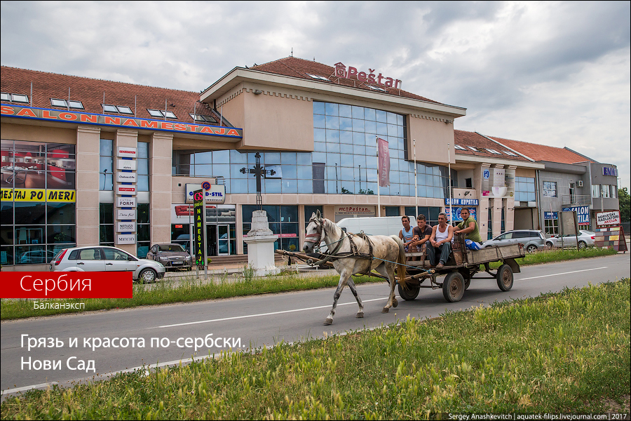 Нови Сад