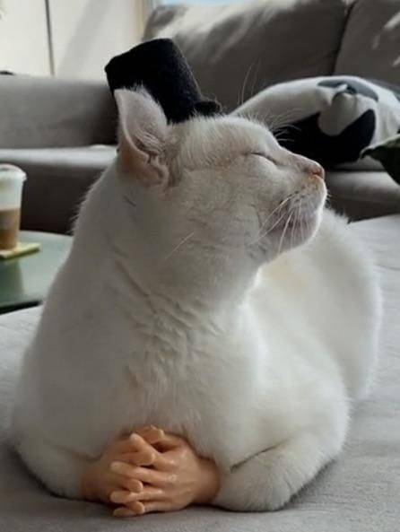 Порция позитива в подборке прикольных картинок и фоток Порция позитива в подборке прикольных картинок и фоток