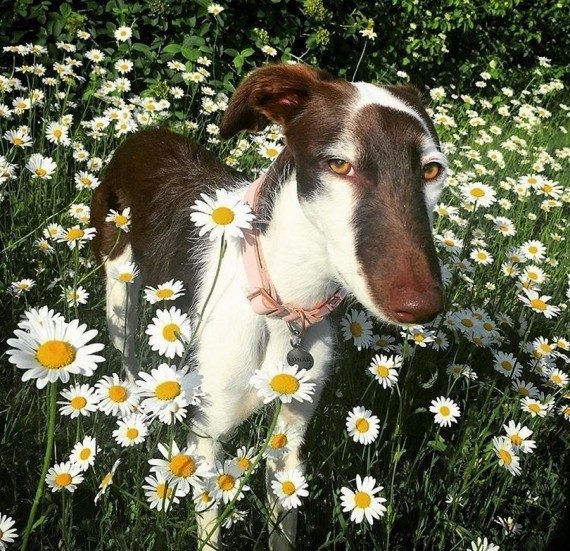 Весёлая подборка 