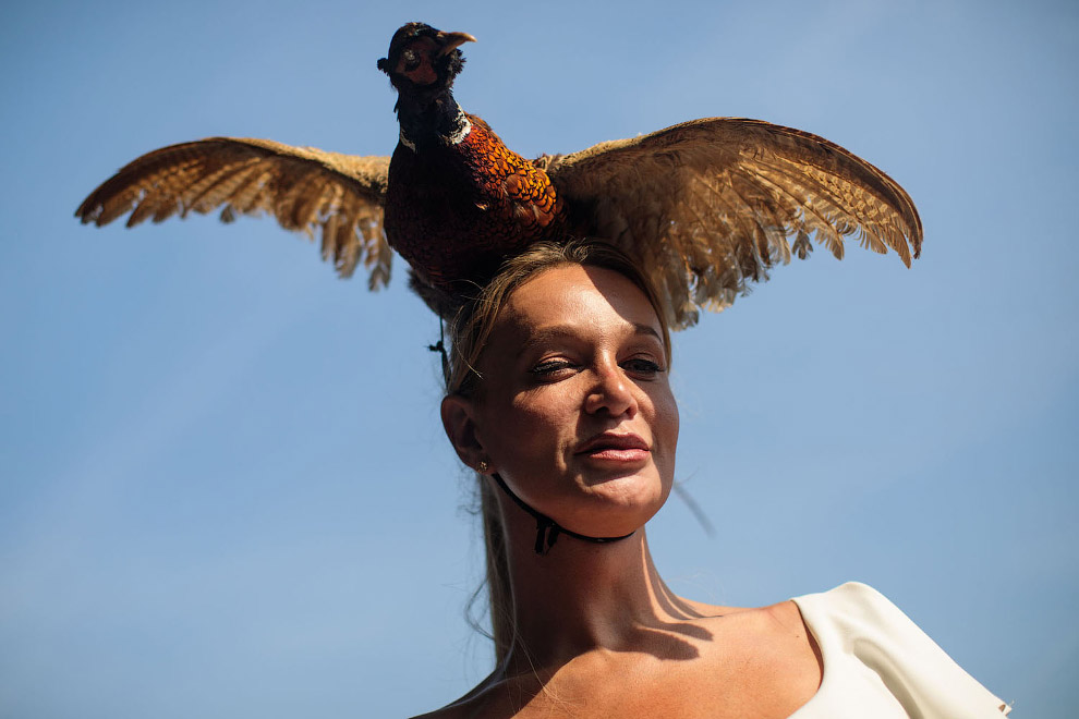 Royal Ascot — скачки и самые безумные шлапы