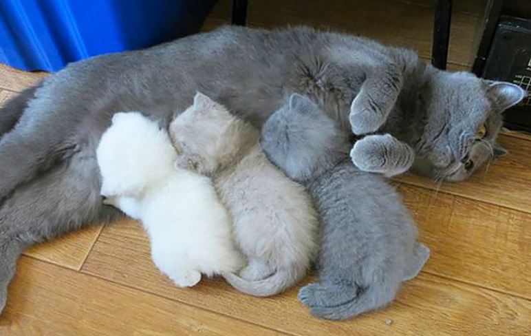 Как решают «сложные ситуации» разные знаки зодиака трындец, Потом, сразу, решит, начнет, этого, сделает, никто, возьмет, трындецом, собой, напишет, Чтобы, расстроится, трындецы, расскажет, придется, хочет, заявив, скажет