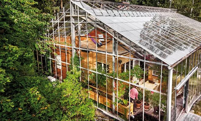Семье в Швеции надоела зима в полгода и они построили свой дом прямо внутри теплицы с растениями Культура