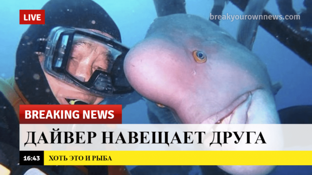 222