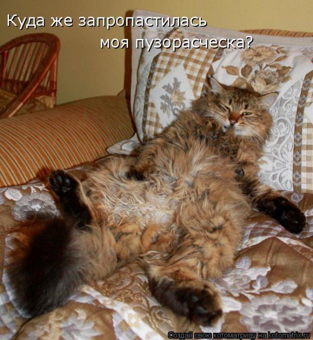 Мысли вслух :)