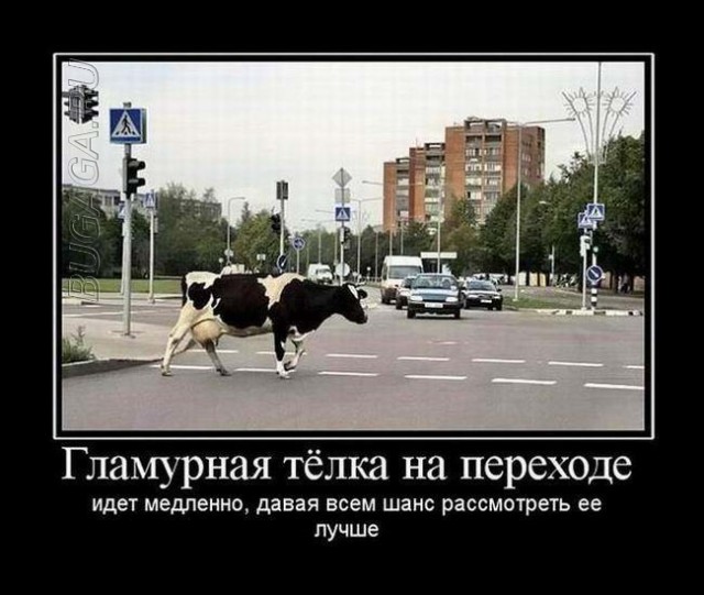 Демотиваторы свежие, прикольные: «Всем всё ясно»  