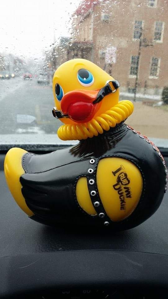 17 чудаковатых товаров, которые озадачили покупателей барахолок и секонд-хендов 17 чудаковатых товаров, которые озадачили покупателей барахолок и секонд-хендов