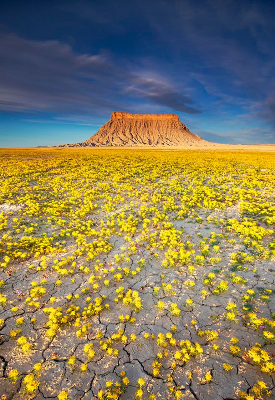 Desert badlands, USA