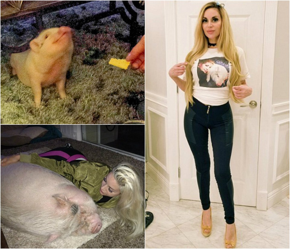 Как превратиться в свинью. Девушка превращается в свинку. Девушка стала свиноматкой. Женщина превратилась в свинью. Превращение девушки в свинью.