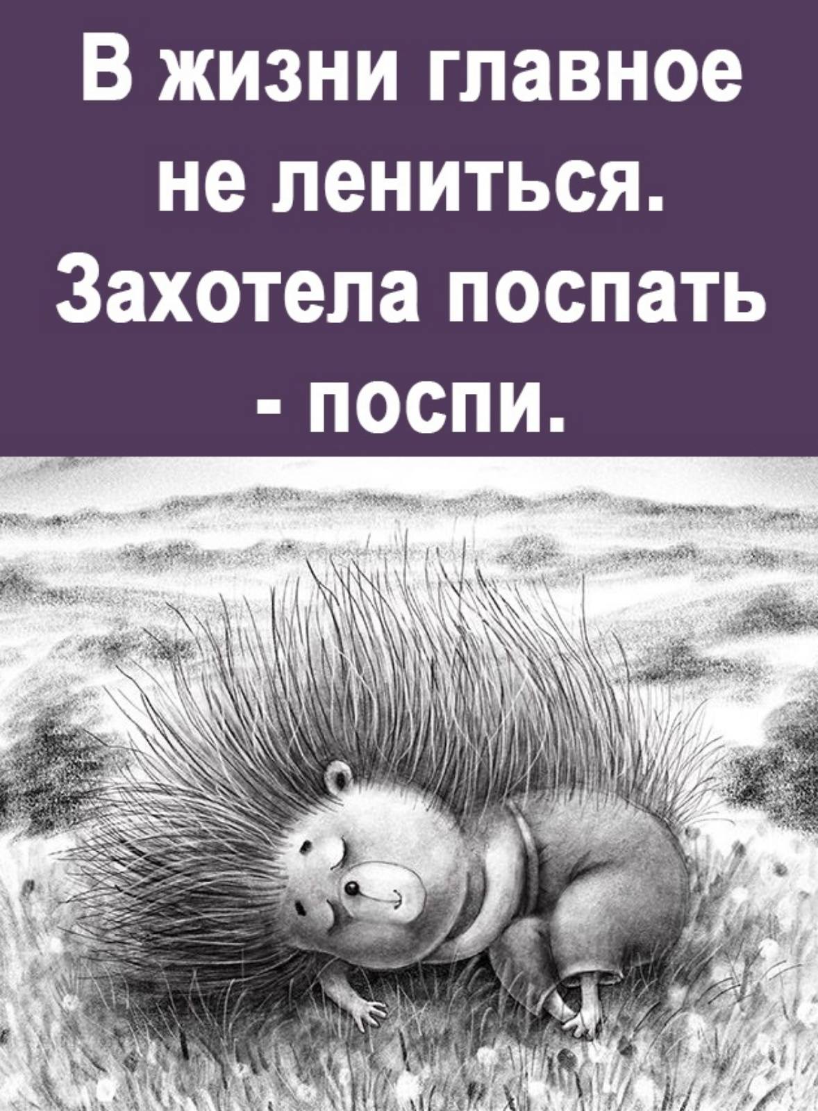 Доза юмора для хорошего настроения Доза юмора для хорошего настроения