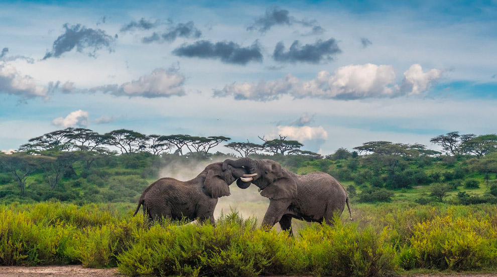 Конкурс панорамной фотографии Epson International Pano 2019 International, EPSON, Awards, Исландии, Пейзажи, конкурса, место, Норвегии, квартал, островах, Лофотенских, Водопад, Awards16, Denning, Jason, Гонконга, Жилой, Carlos, Becei, Bernadett