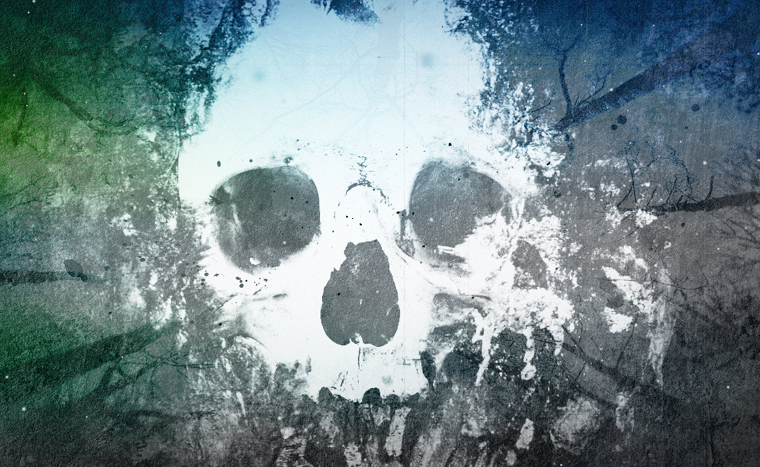 Таинственный остров Оук Таинственный остров Оук острова