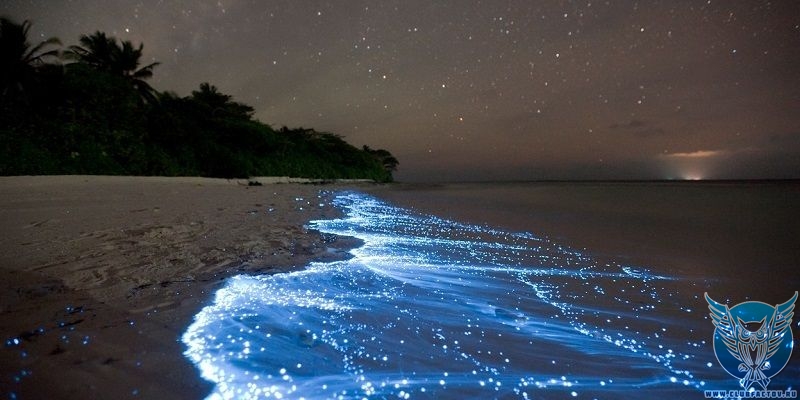 Самые необычные пляжи мира Самые необычные пляжи мира необычные,пляжи,природа