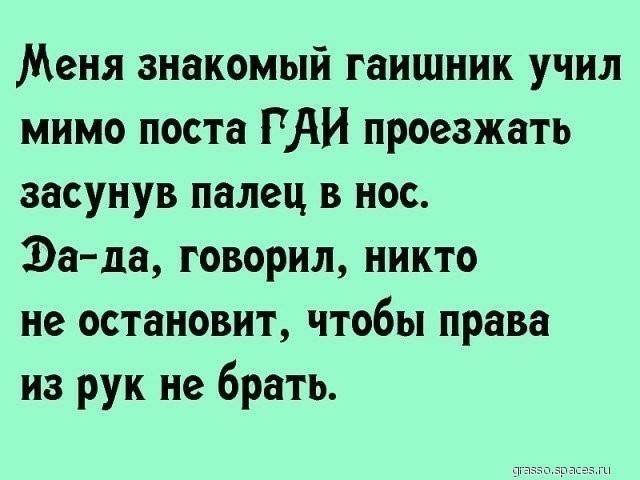 15 смешных и жизненных историй для поднятия настроения!