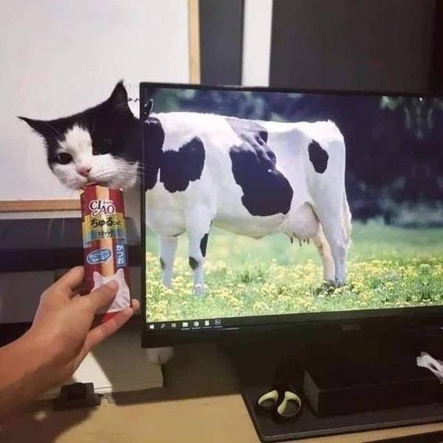 Что-то тут не то... Что-то тут не то...