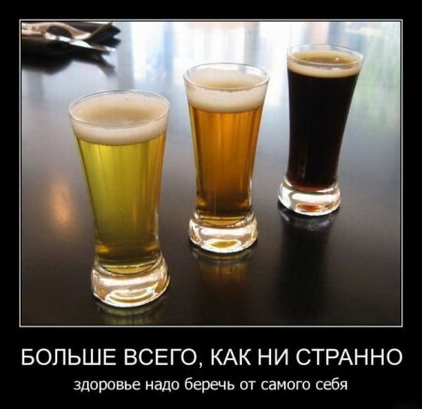 Больше всего, как ни странно