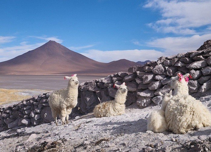 Где небо сливается с землей Где небо сливается с землей авиатур
