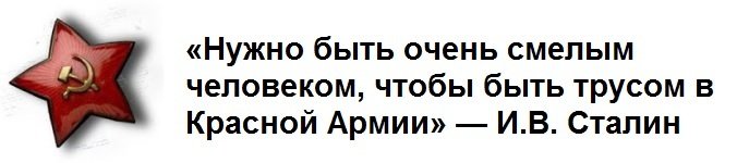 Людмила Павличенко — Пуля В Сердце Врага Великая Отечественная Война, Людмила Павличенко, история, память, снайпер, факты