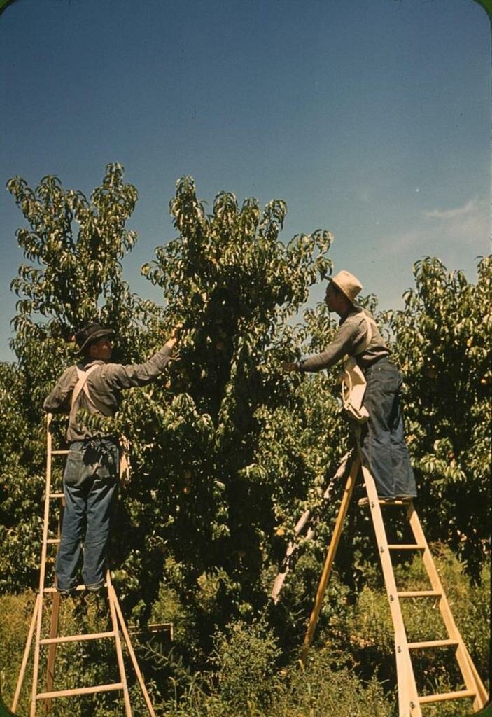 Из истории Дикого Запада