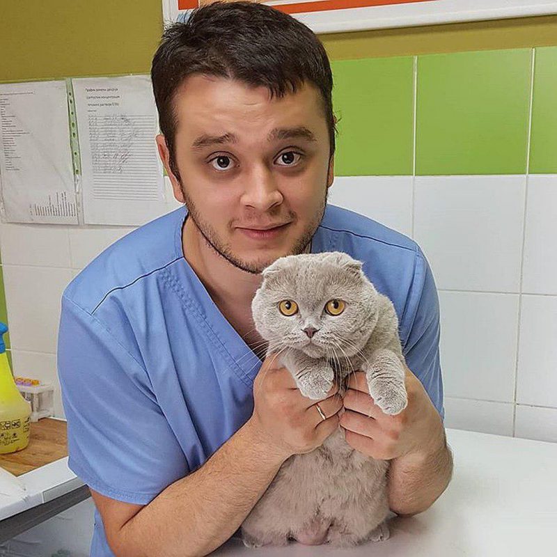 Ветеринару, спасающему животных от эвтаназии, грозит тюрьма