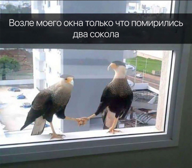 Подборка прикольных картинок Подборка прикольных картинок смешные картинки