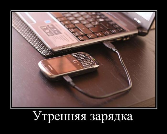 Подборка смешных и позитивных демотиваторов со смыслом (11 фото)