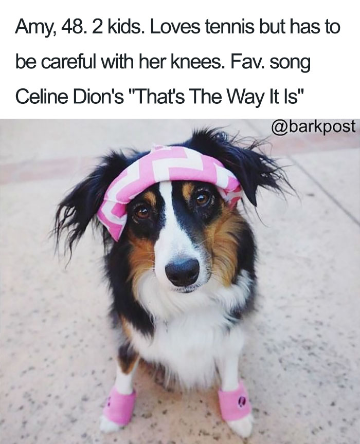 Funny Dog Bios