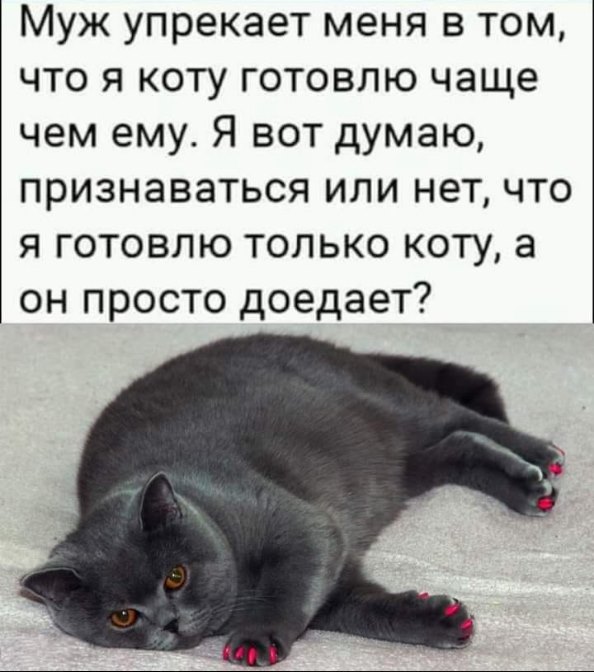 Слово 