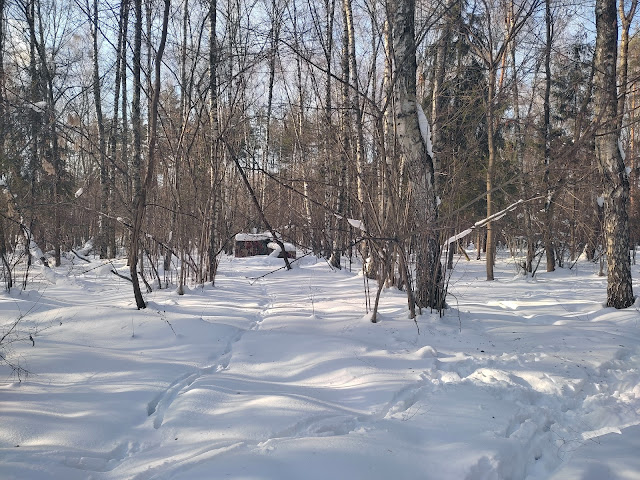 Лосиный остров