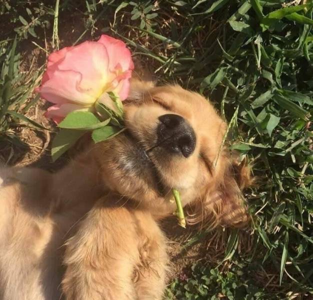 Порция позитива в подборке прикольных картинок и фоток Порция позитива в подборке прикольных картинок и фоток