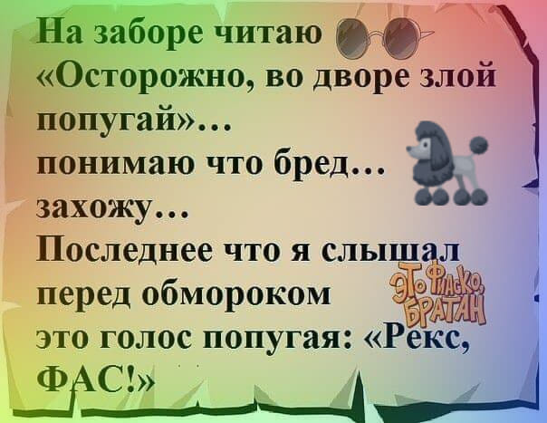 — Максим, а у меня родители на дачу уехали… Понимаешь, о чём я?… Юмор,картинки приколы,приколы,приколы 2019,приколы про