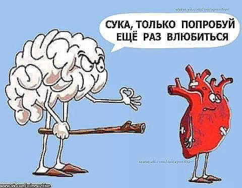 Доза юмора для хорошего настроения Доза юмора для хорошего настроения