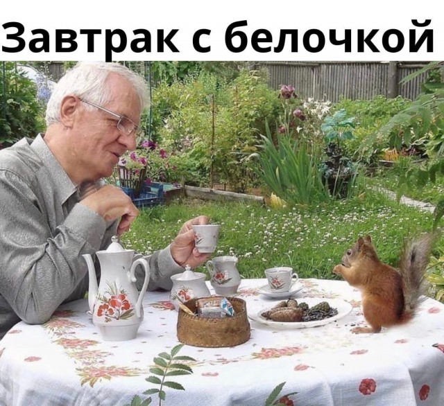 Смешное зверьё 