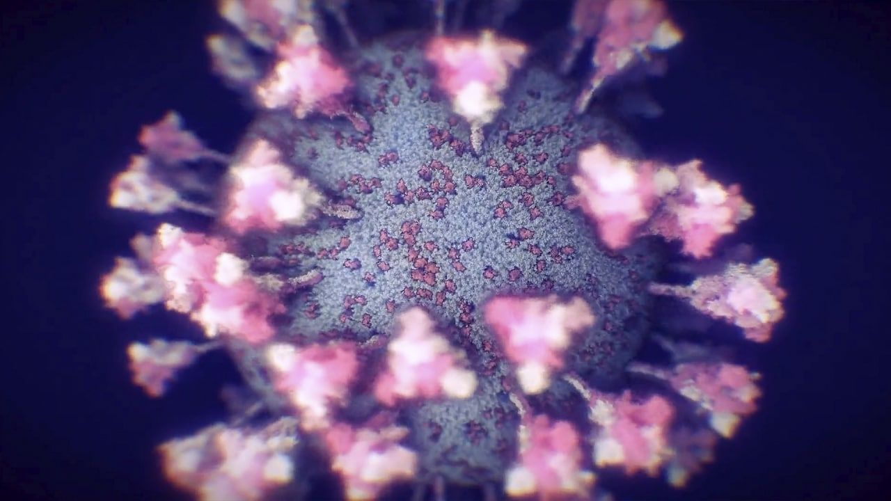 Вирусолог Альтштейн озвучил сроки ожидаемого пика заболеваемости COVID-19 в России