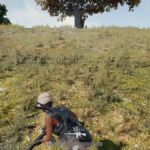 Игроки в PlayerUnknowns Battlegrounds продолжают вступать с друг с другом в сговор  