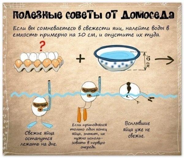 Полезные советы в иллюстрациях