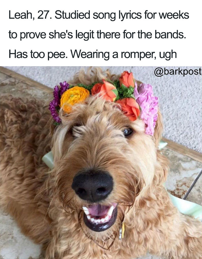 Funny-dog-bios