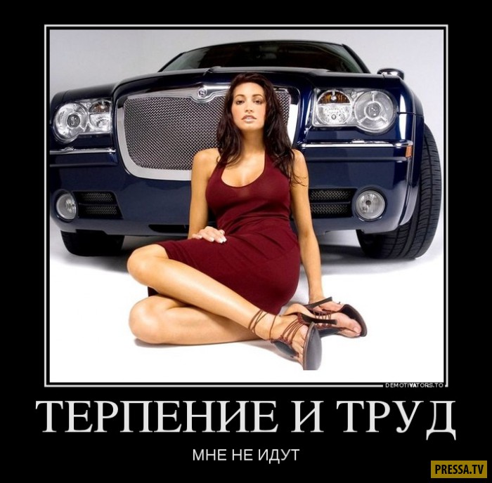 Терпение и труд смешные картинки