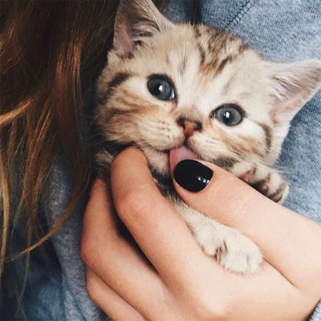 Подборка красочных и ярких фотографий с картинками из сети Подборка красочных и ярких фотографий с картинками из сети