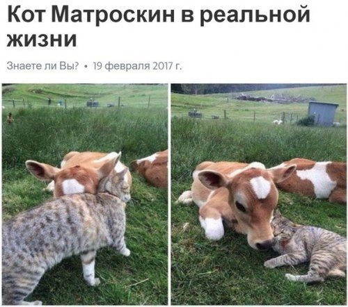 Новая порция фотомемов
