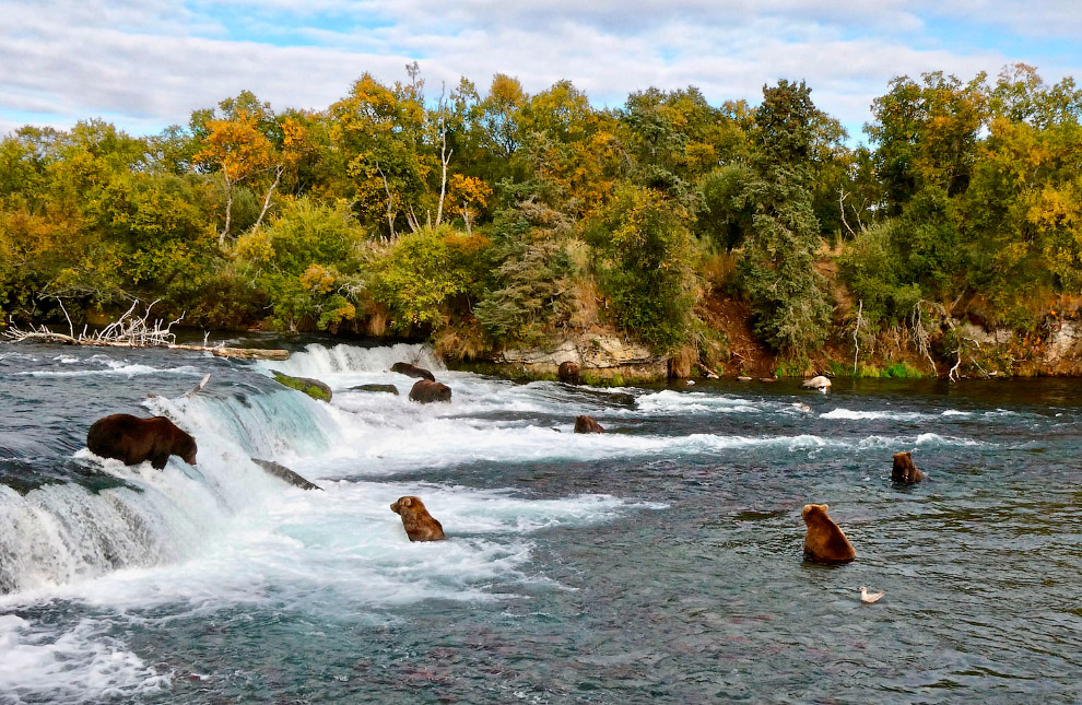 Последние осенние пейзажи 2019 Последние осенние пейзажи 2019 пейзажи,природа,Путешествия,фото