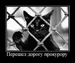 Подборка веселых и смешных демотиваторов из нашей жизни 