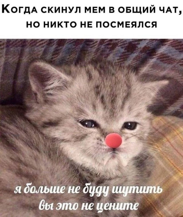 Весёлые картинки для настроения: «Когда спала лицом в подушку»  