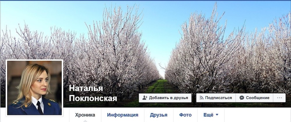 Поклонская все идет по плану