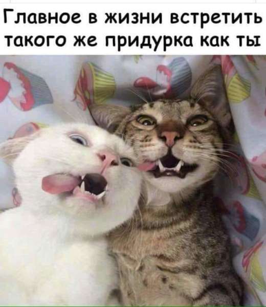 - Блин! - сказал слон, наступив на Колобка очень, чтобы, желание—, который, отужинатьДирижерша, дивный, проводят, слава, Царевич, столько, увидишь, «мерседес», Говори, подумал, соглашается, после, вечер, согласились, подходит, дирижерше