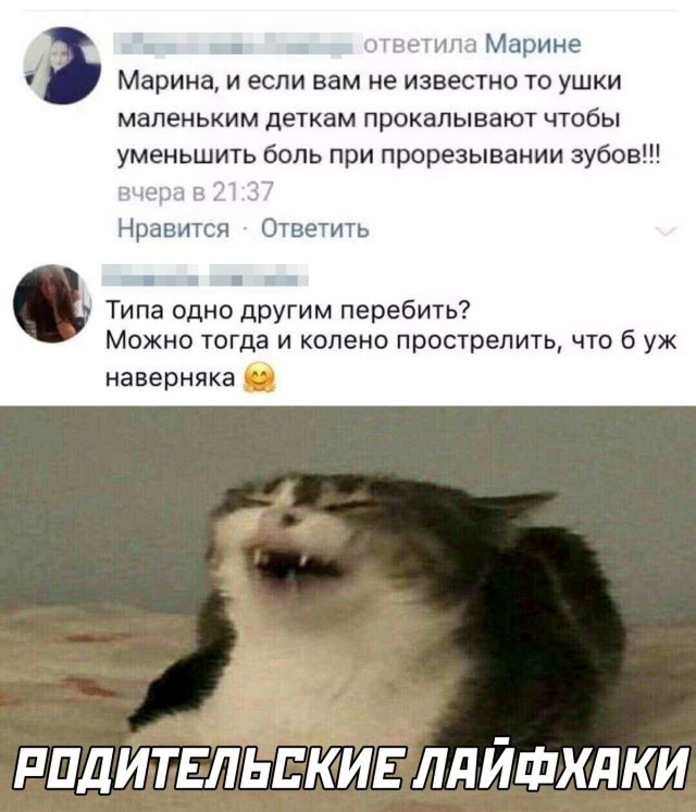 Подборка прикольных картинок Подборка прикольных картинок приколы,смешные картинки,юмор