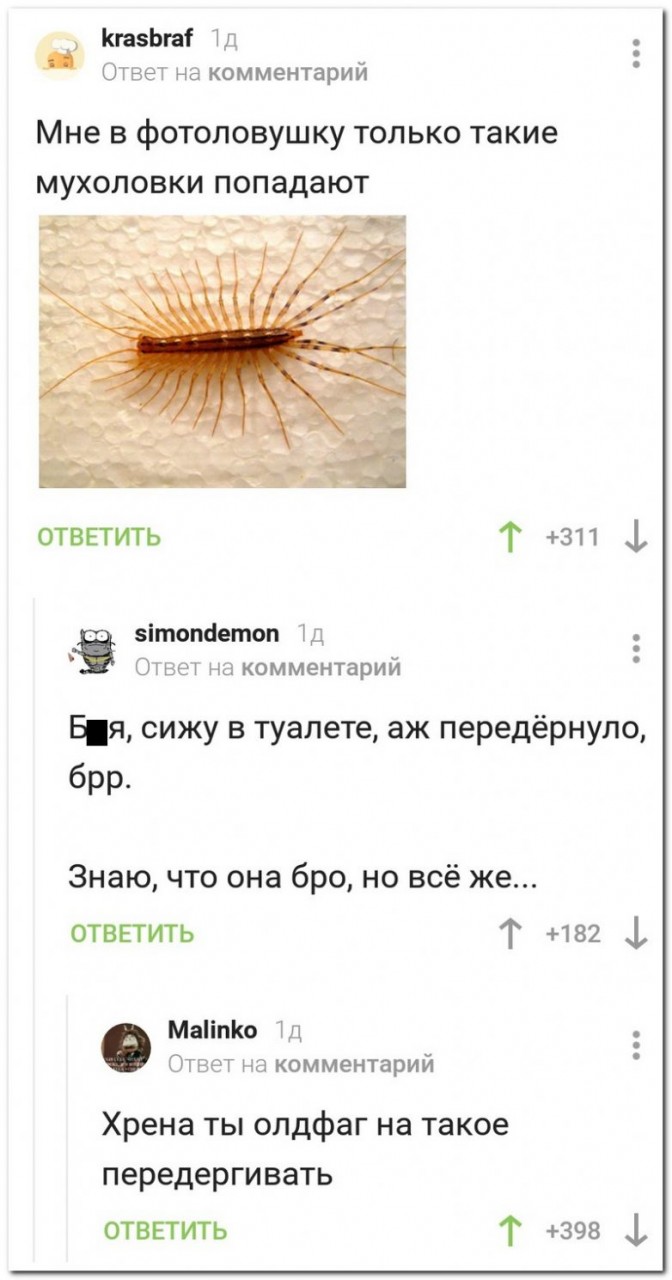 100% ржака, от которой будет болеть живот. Ну что, поспорим? 100% ржака, от которой будет болеть живот. Ну что, поспорим? смешные картинки