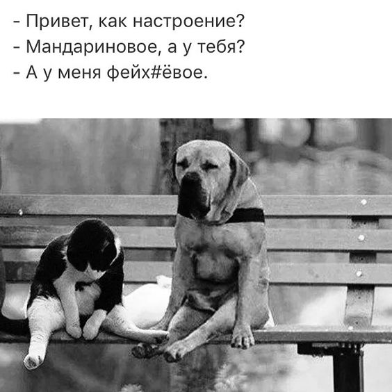 Смех – лучшее средство для поднятия настроения Смех – лучшее средство для поднятия настроения