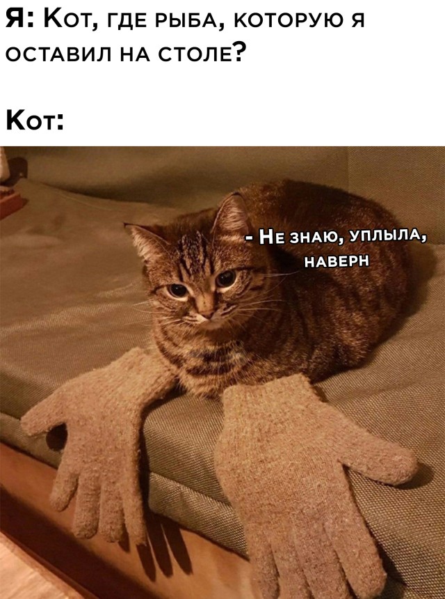 Подборка картинок. Вечерний выпуск  приколы,смешные картинки,юмор